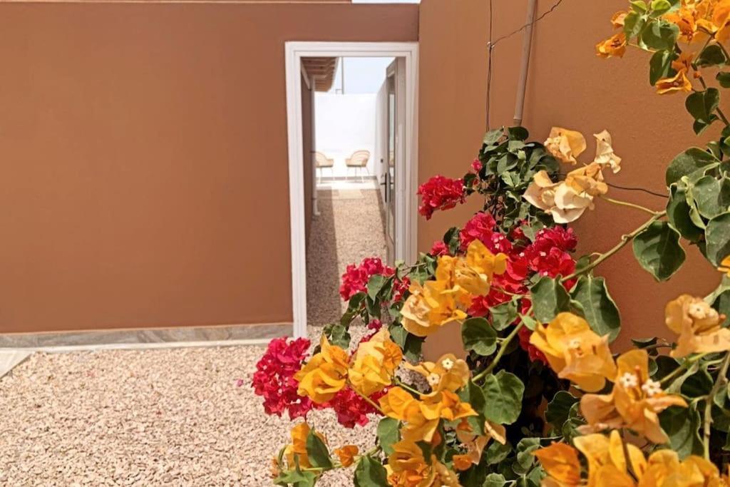 Moderna Casa De Invitados Con Terraza Y Piscina Коральео Экстерьер фото